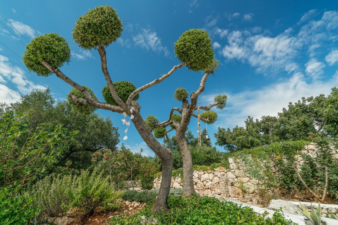 Askos Stone Villa - The Island Panorama Agios Nikolaos  Exteriér fotografie